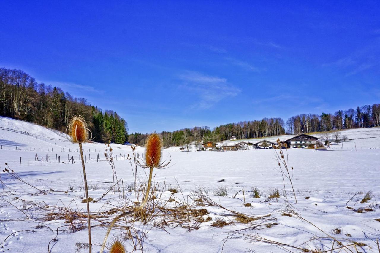 Ferienwohnungen Wanderparadies Bauernhof Aschau im Chiemgau Zewnętrze zdjęcie